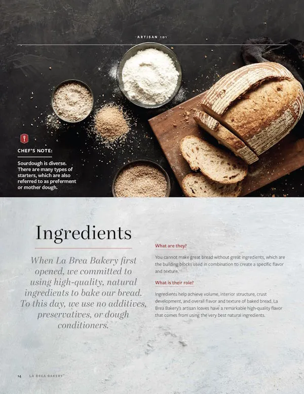 From Starter to Finish:  Sourdough Breadmaking and Culinary Inspirations