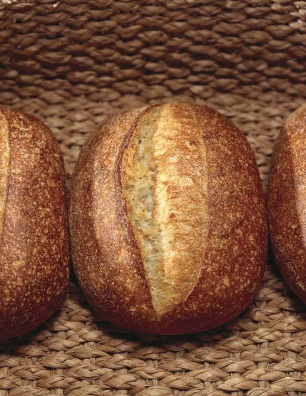 From Starter to Finish:  Sourdough Breadmaking and Culinary Inspirations