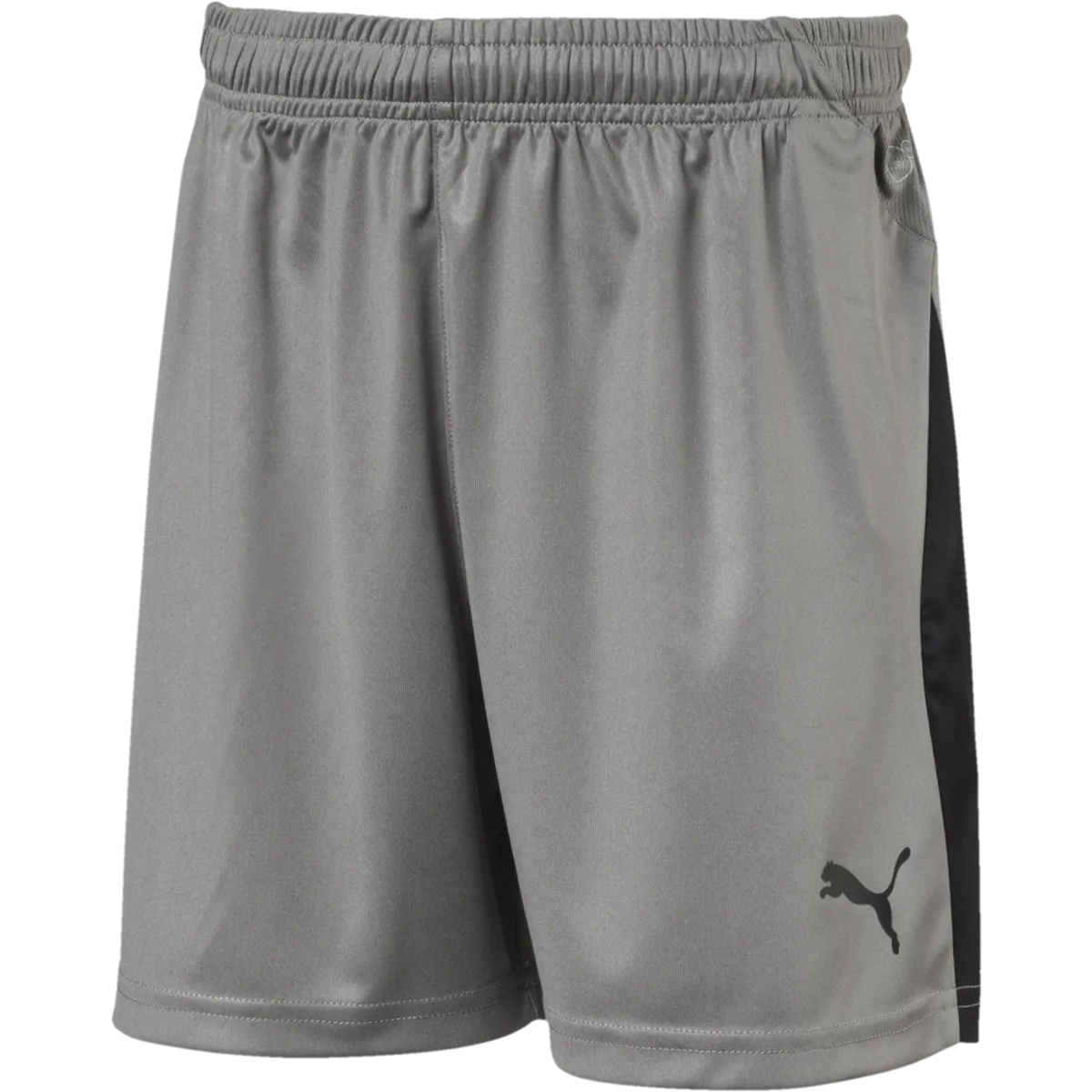 Youth Liga Shorts